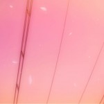 [HorribleSubs] Sakurasou no Pet na Kanojo – 01 [720p].mkv_snapshot_12.55_[2012.11.17_16.00.59]